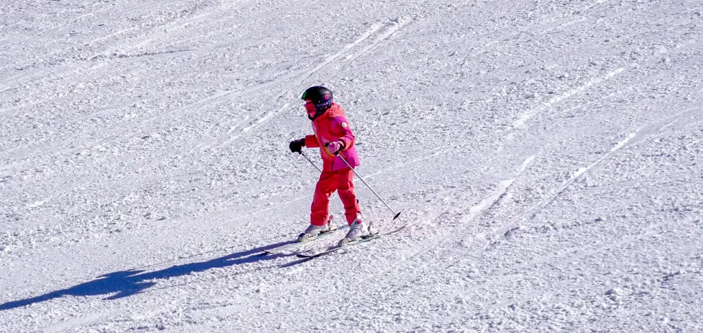 downhill skier